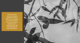 Природа Творит Невероятное Веб-Сайт О Природе, Веб-Дизайн, Веб-Шаблоны, Темы WordPress, Отзывчивый Веб-Сайт, Недвижимость, Шаблон Html5, Шаблоны Веб-Сайтов О Природе, Контактная Форма, Бесплатные Шаблоны, Шаблон Html, Шаблоны Css, Целевая Страница, Плагины Для WordPress, Дизайн Веб-Сайтов, Бесплатный Веб-Сайт, Популярные Категории, Тема Wordpress, Некоммерческая Организация, Без Шаблона, Bootstrap 4, Шаблоны Сайтов, Одна Страница, Шаблоны Начальной Загрузки, Отзывчивый Html5, Шаблоны Эффектов, Звуковые Эффекты, Бесплатные Шаблоны, Бесплатные Шаблоны Веб-Сайтов, Начало Продаж, Шаблоны Администратора, Специальные Страницы, Прошлый Год , Экология Html5, Тема Html5, Экологический Html, Видеоресурсы, Неограниченные Загрузки, Бизнес Wordpress, Шаблоны Дизайна, Онлайн-Уроки, Справочный Центр, Их Соответствующие Владельцы, Шаблон Html5 Экологии, Шаблон Html Окружающей Среды, Бизнес-Темы Wordpress, Адаптивные Шаблоны Веб-Сайтов, Собственность Их, Их Соответствующих Владельцев, Зеленая Природа, Экологическая Среда, Видеоматериалы, Модная Красота, Отзывчивый Html