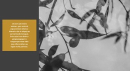 Природа Творит Невероятное Веб-Сайт О Природе, Веб-Дизайн, Веб-Шаблоны, Темы WordPress, Отзывчивый Веб-Сайт, Недвижимость, Шаблон Html5, Шаблоны Веб-Сайтов О Природе, Контактная Форма, Бесплатные Шаблоны, Шаблон Html, Шаблоны Css, Целевая Страница, Плагины Для WordPress, Дизайн Веб-Сайтов, Бесплатный Веб-Сайт, Популярные Категории, Тема Wordpress, Некоммерческая Организация, Без Шаблона, Bootstrap 4, Шаблоны Сайтов, Одна Страница, Шаблоны Начальной Загрузки, Отзывчивый Html5, Шаблоны Эффектов, Звуковые Эффекты, Бесплатные Шаблоны, Бесплатные Шаблоны Веб-Сайтов, Начало Продаж, Шаблоны Администратора, Специальные Страницы, Прошлый Год , Экология Html5, Тема Html5, Экологический Html, Видеоресурсы, Неограниченные Загрузки, Бизнес Wordpress, Шаблоны Дизайна, Онлайн-Уроки, Справочный Центр, Их Соответствующие Владельцы, Шаблон Html5 Экологии, Шаблон Html Окружающей Среды, Бизнес-Темы Wordpress, Адаптивные Шаблоны Веб-Сайтов, Собственность Их, Их Соответствующих Владельцев, Зеленая Природа, Экологическая Среда, Видеоматериалы, Модная Красота, Отзывчивый Html