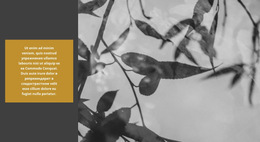 Природа Творит Невероятное – Бесплатный Шаблон Сайта