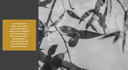 Природа Творит Невероятное – Тема WordPress