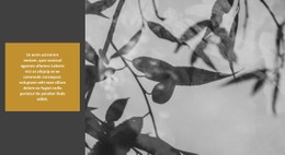 Doğa Inanılmaz Yaratır Için Ücretsiz CSS Düzeni