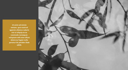 Doğa Inanılmaz Yaratır - WordPress Teması