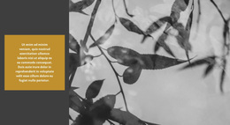 Nature Creates Incredible - Free Download Website Design