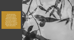 Nature Creates Incredible Nature Website,Web Design,Web Templates,Wordpress Themes,Responsive Website,Real Estate,Html5 Template,Nature Website Templates,Contact Form,Templates Free,Html Template,Css Templates,Landing Page,Wordpress Plugins,Website Design,Free Website,Popular Categories,Wordpress Theme,Non Profit,Template Free,Bootstrap 4,Site Templates,One Page,Bootstrap Templates,Responsive Html5,Effects Templates,Sound Effects,Free Templates,Website Template Free,Start Selling,Admin Templates,Specialty Pages,Last Year,Ecology Html5,Html5 Theme,Environmental Html,Video Assets,Unlimited Downloads,Business Wordpress,Design Templates,Online Tutorials,Help Center,Their Respective,Respective Owners,Ecology Html5 Template,Environmental Html Template,Business Wordpress Themes,Responsive Website Templates,Property Of Their,Their Respective Owners,Green Nature,Eco Environmental,Video Stock,Fashion Beauty,Responsive Html