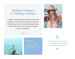 Most Creative Html Code For Travel To Warm Countries