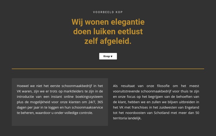 Tekst op een donkere achtergrond Website ontwerp