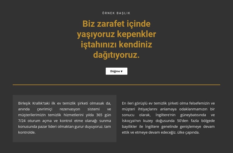 Karanlık bir arka plan üzerinde metin Web sitesi tasarımı