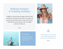 Free Web Design For Travel To Warm Countries