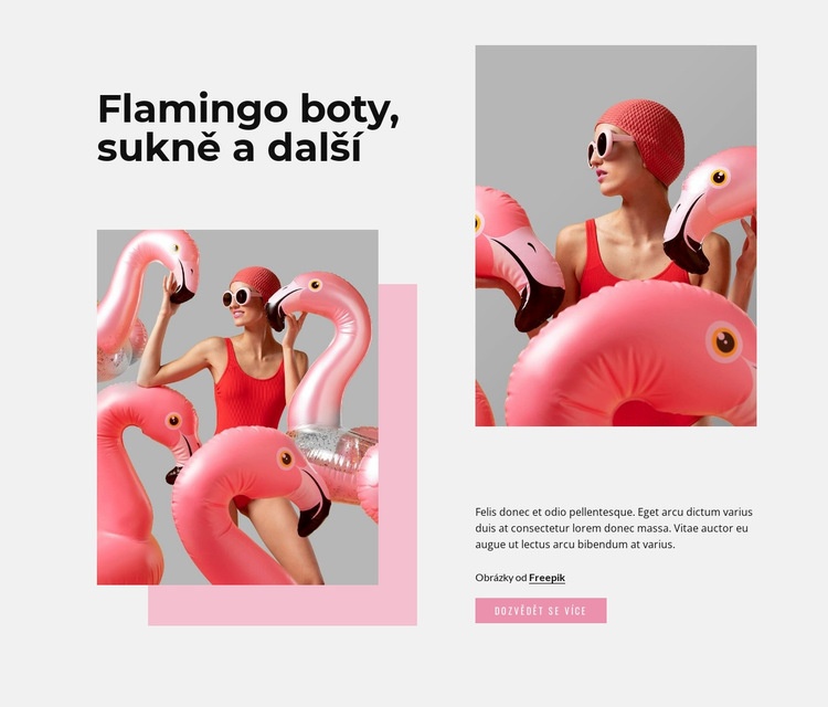 Flamingo móda Šablona HTML