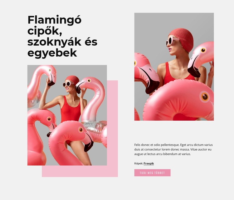 Flamingo divat CSS sablon