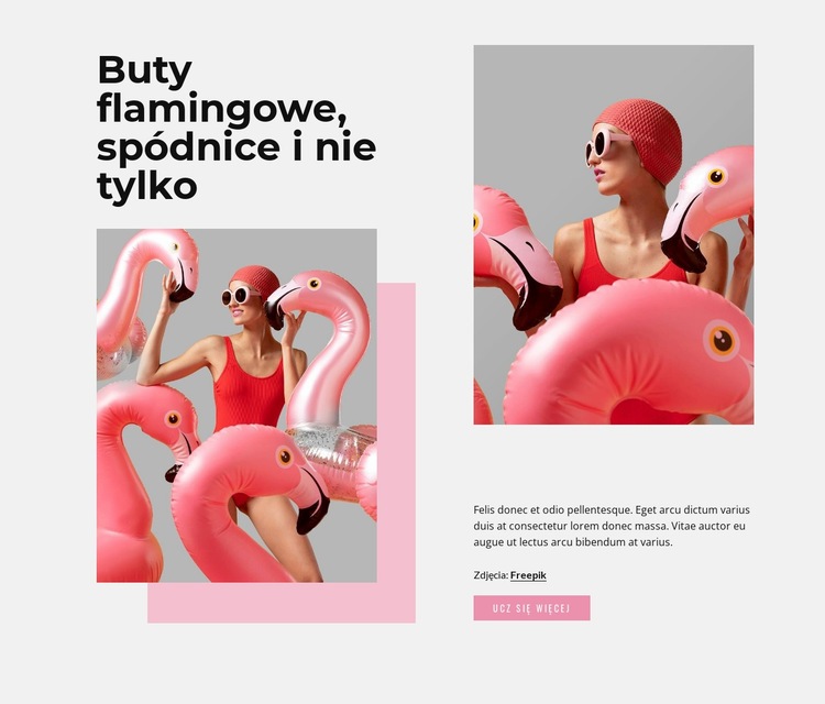 Moda flamingów Kreator witryn internetowych HTML