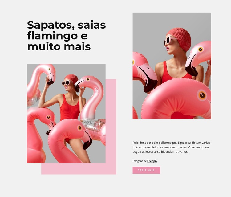 Moda flamingo Construtor de sites HTML