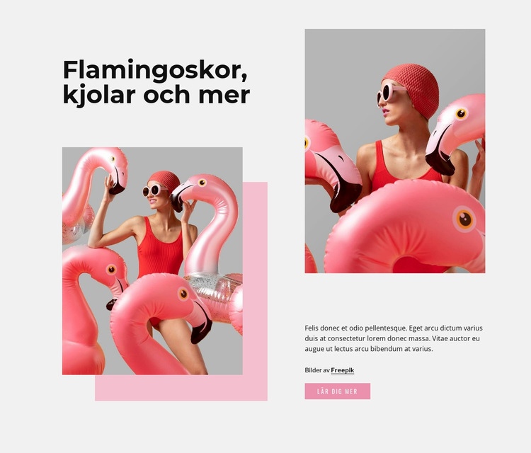 Flamingo mode Webbplats mall