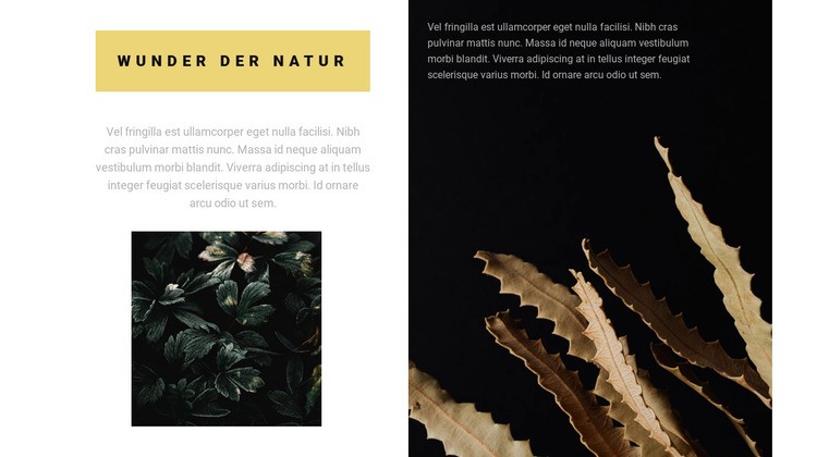 Die Natur ist wunderbar HTML Website Builder