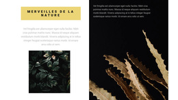 La Nature Est Magnifique - Thème WordPress Personnalisé