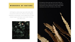 Nature Is Wonderful - HTML5 Responsive Template