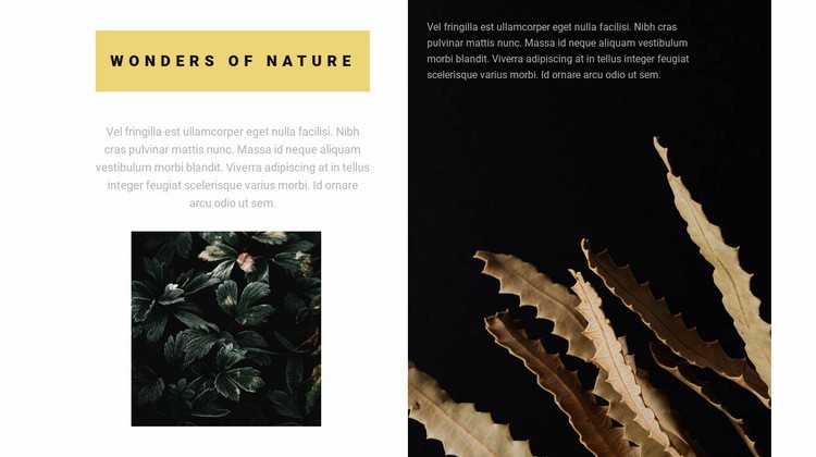 Nature is wonderful Web Page Design