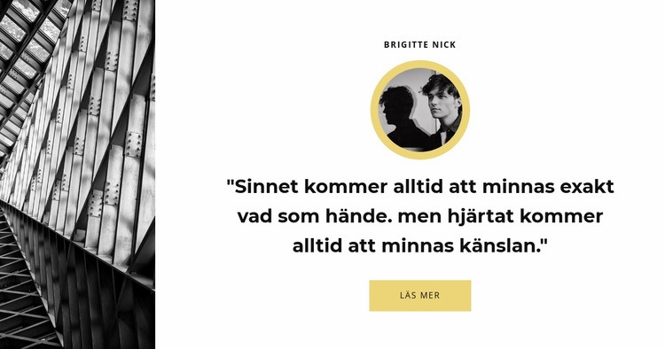 Vår regissörs åsikt HTML-mall