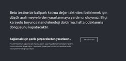 İş Bilgileri Temel CSS Şablonu