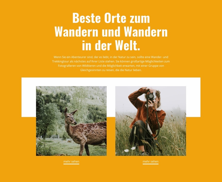 Beste Plätze Website design