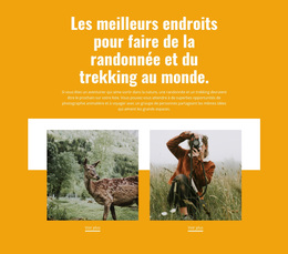 Meilleurs Endroits - Inspiration Du Thème WordPress