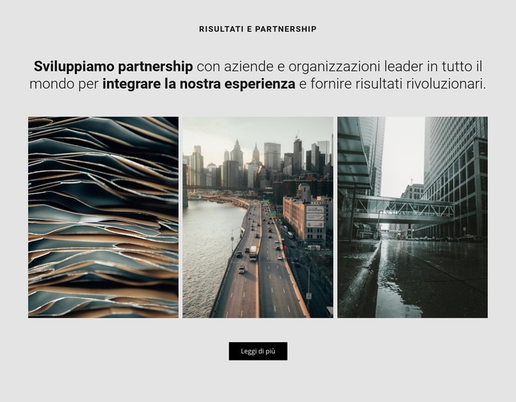 Sviluppiamo partnership Mockup del sito web