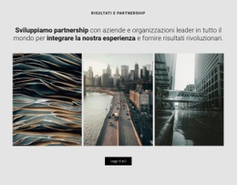 Sviluppiamo Partnership - Modelli Di Siti Web Reattivi