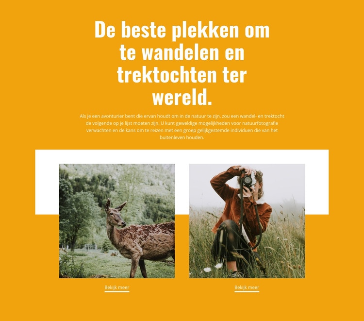 Beste plaatsen Website Builder-sjablonen