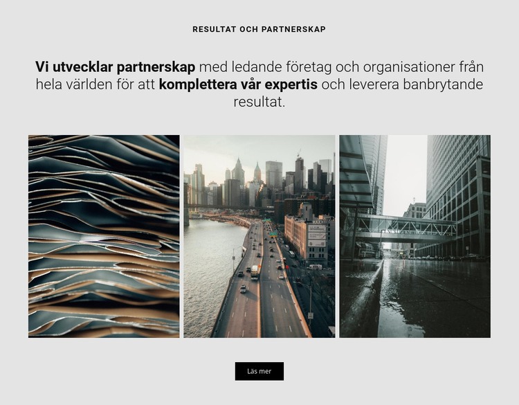 Vi utvecklar partnerskap Webbplats mall