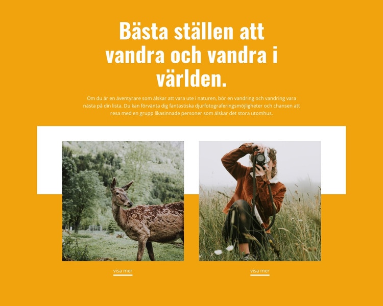 Bästa ställena WordPress -tema