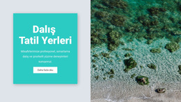 Dalış Merkezleri Için Web Sitesi Düzeni