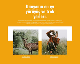 En Iyi Yerler - WordPress Teması Ilhamı