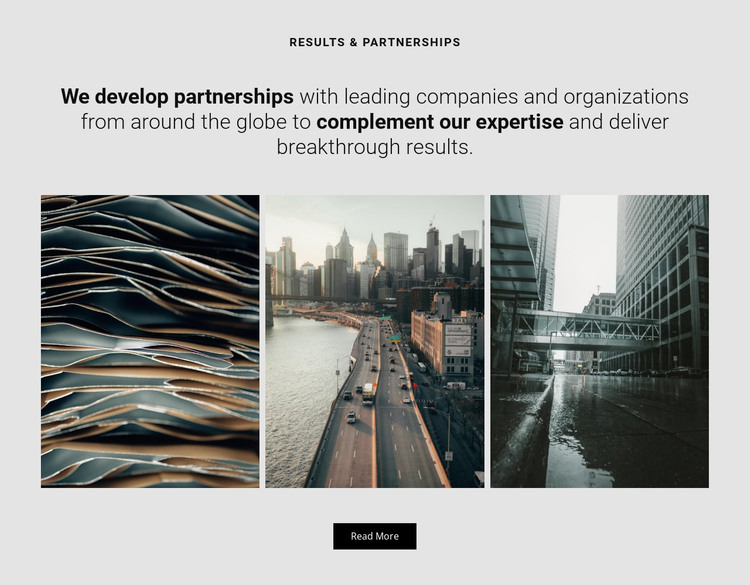 We develop partnership WordPress Theme