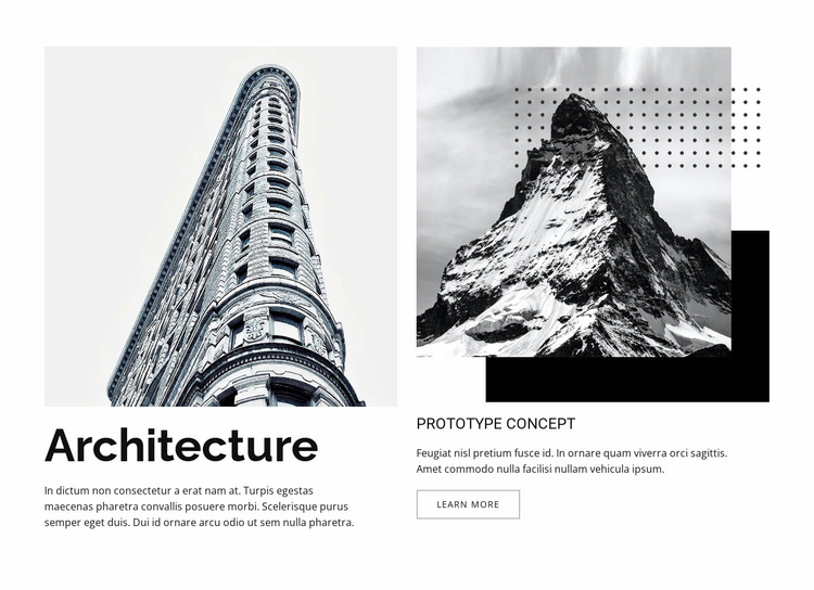 City form and natural process Website Design