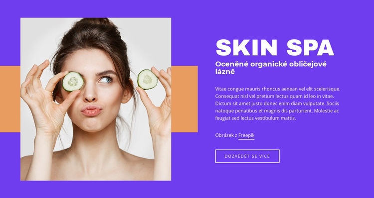 Skin SPA Salon Šablona webové stránky