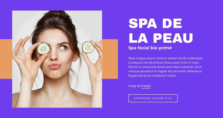 Salon SPA de la peau Maquette de site Web