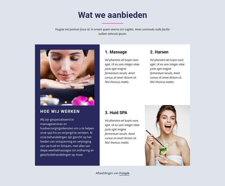 Van haarstyling tot gezichtsverzorging WordPress-thema