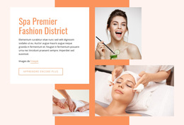 Disposition Du Site Web Pour Premier Fashion Spa