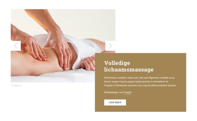 Volledige lichaamsmassage CSS-sjabloon