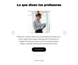 Lo Que Dicen Los Profesores - Diseño De Funcionalidad