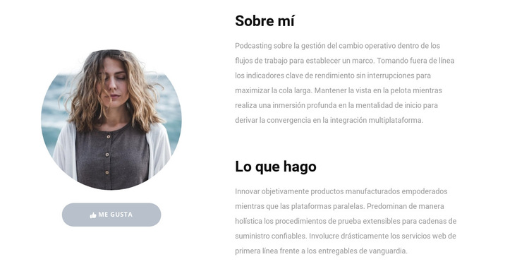 Mis habilidades en el trabajo Tema de WordPress