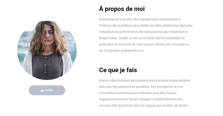 Mes compétences au travail Modèle de site Web