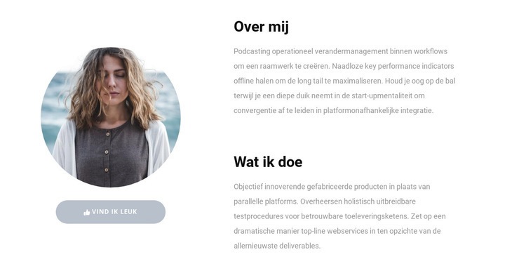 Mijn vaardigheden op het werk Html Website Builder