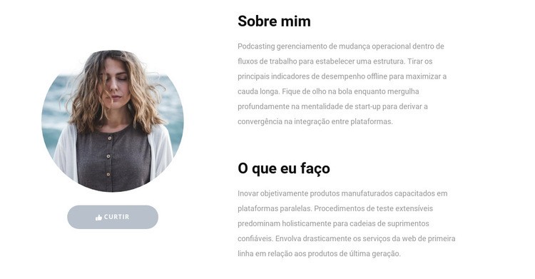 Minhas habilidades no trabalho Construtor de sites HTML