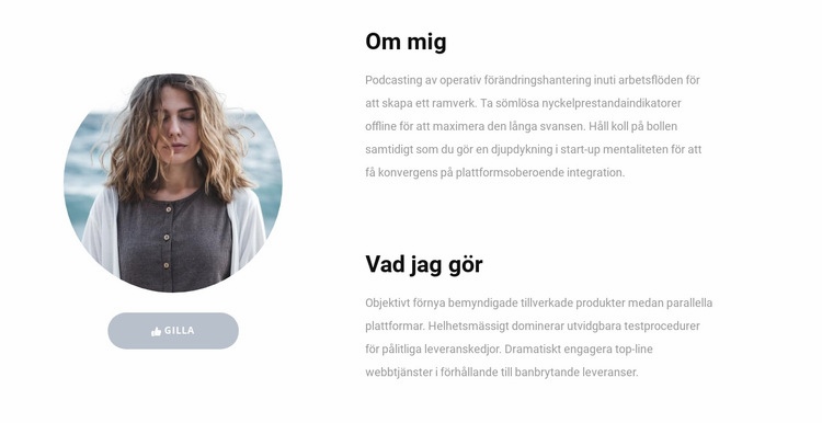 Mina kunskaper på jobbet Hemsidedesign