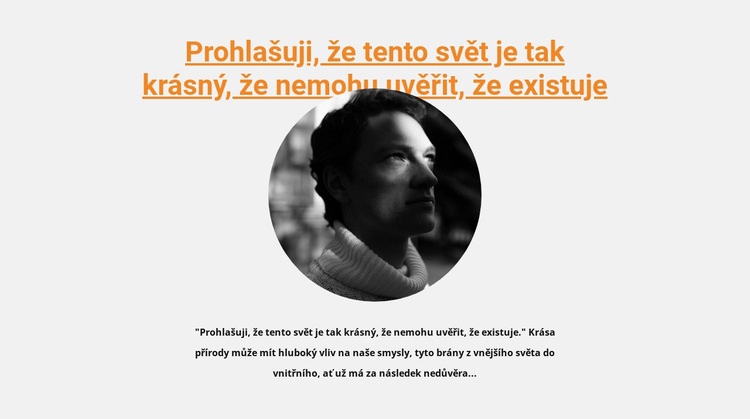 Návrhář o své práci Téma WordPress