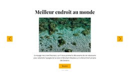 Sorties Snorkeling - Modèle D'Une Page Réactif