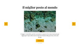 Viaggi Di Snorkeling: Modello Reattivo Di Una Pagina