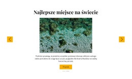 Wycieczki Na Snorkeling - Inspiracja Makietą