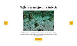 Wycieczki Na Snorkeling - Prosty Motyw WordPress